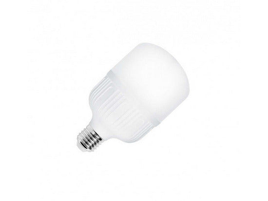 Led sijalica 40W E27 T120 6500k